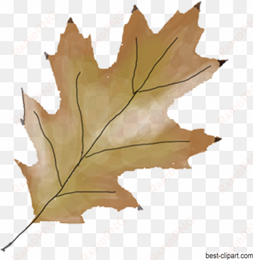 free fall leaf clip art - clip art