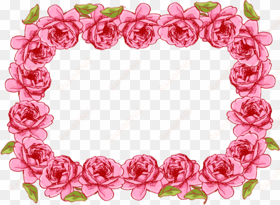 free faux vintage roses frame and borders png rosenrahmen - pink vintage frames png