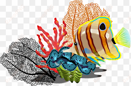 Free Fish Clipart Tropical Fish Star Fish Cartoon Fish - Free Tropical Fish Clip Art transparent png image