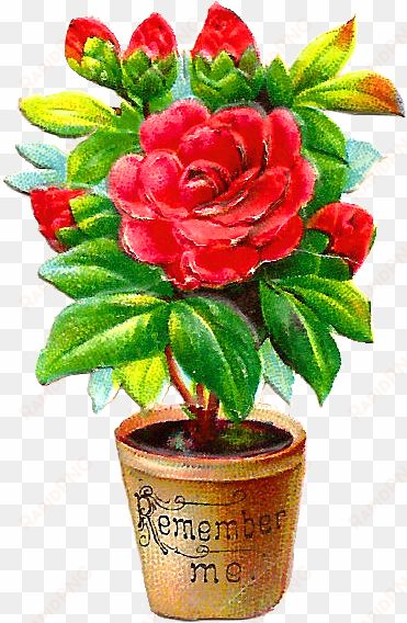 free flower clip art - flower pot png png