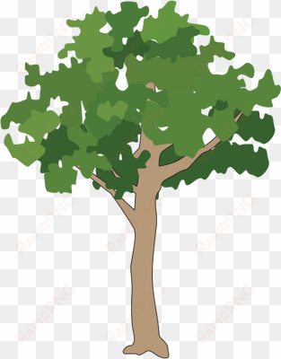 free icons png - rainforest tree vector png