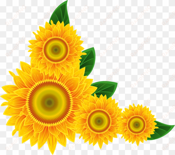 free icons png - sunflower corner border png