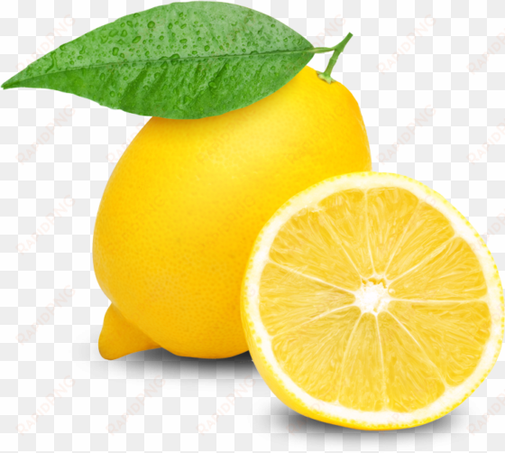 Free Icons Png - Z Natural Foods Lemon Juice Powder - Organic 5 Lbs transparent png image