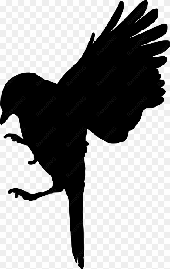 free image on pixabay - black bird cut out