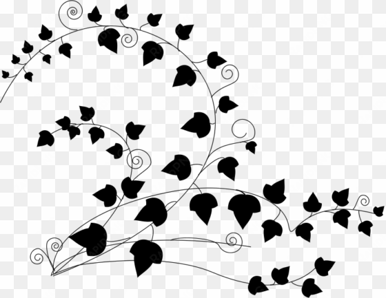free ivy - ivy clipart black and white
