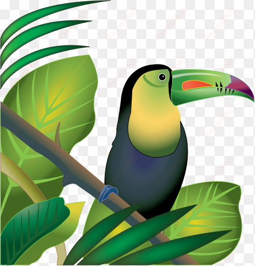 free jungle animals clipart - tropical rainforest clipart