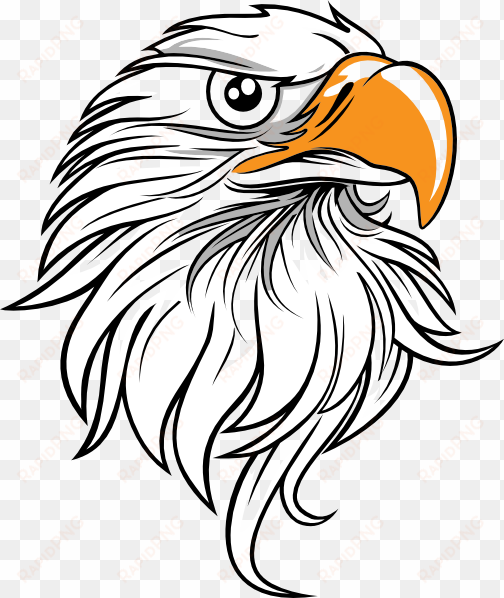 free library bald eagle head clipart - eagle head vector png