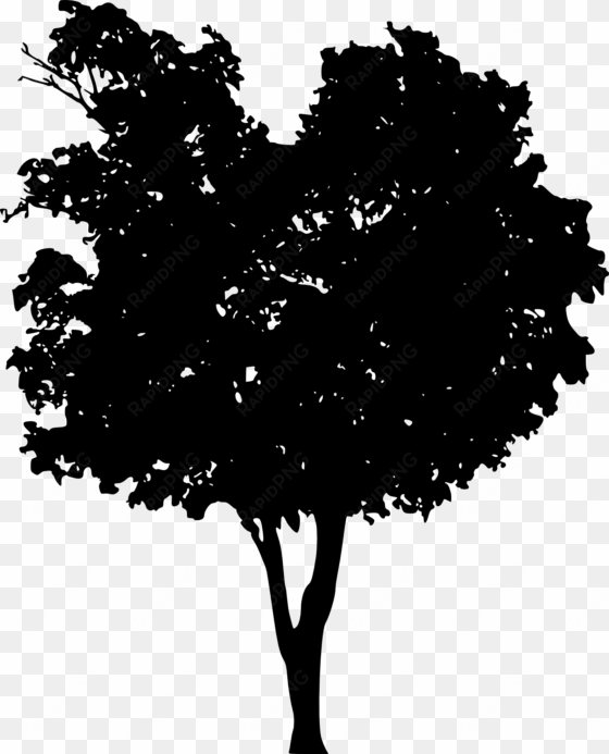 free oak tree silhouette transparent background - portable network graphics