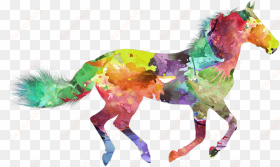free photo nice horse painted colorful max - colorful horse