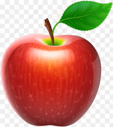 free png apple fruit png images transparent - apple fruit design