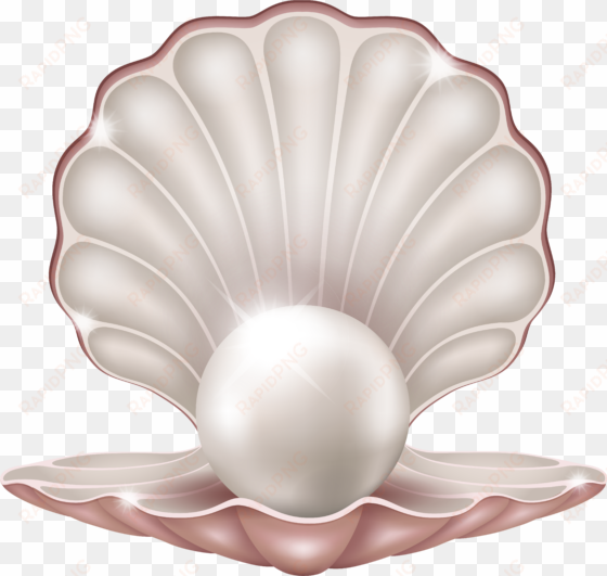 free png beautiful clam with pearl png images transparent - pearl png