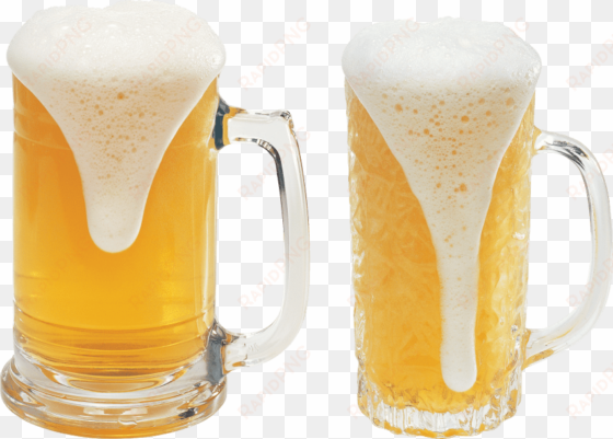 free png beer in glass png images transparent - beer png