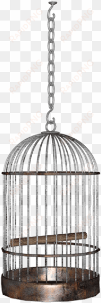 free png bird cage png images transparent - hanging cage png