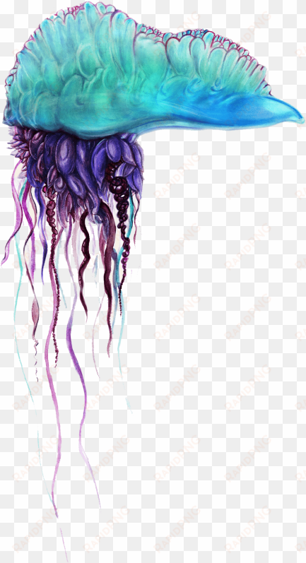 free png blue bottle jellyfish png pics png images - physalia utriculus