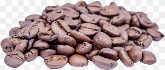 free png coffee bean png images transparent - green coffee beans png