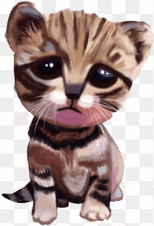 free png cute kittens png png images transparent - cat