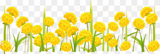 free png dandelion png images transparent - transparent background yellow flower clipart transparent