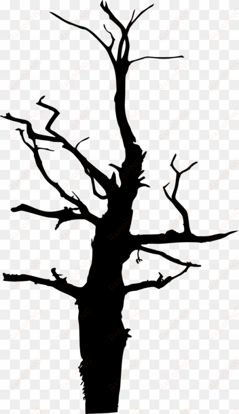 free png dead tree silhouette png images transparent - portable network graphics