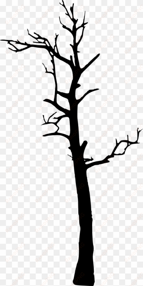 free png dead tree silhouette png images transparent - silhouette