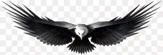 free png eagle png images transparent - black and white images of eagles