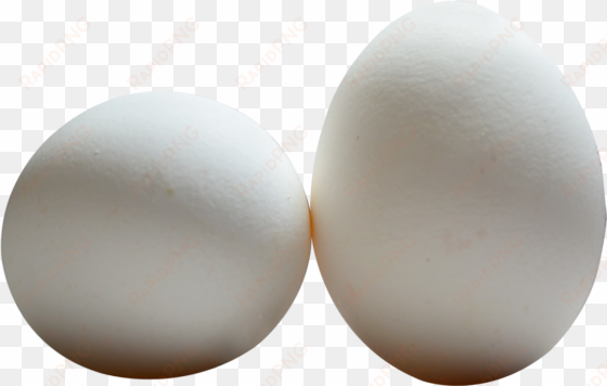 free png egg png images transparent - eggs png