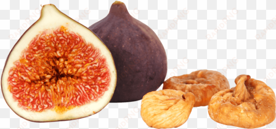 free png fig dried png images transparent - dried figs clipart png