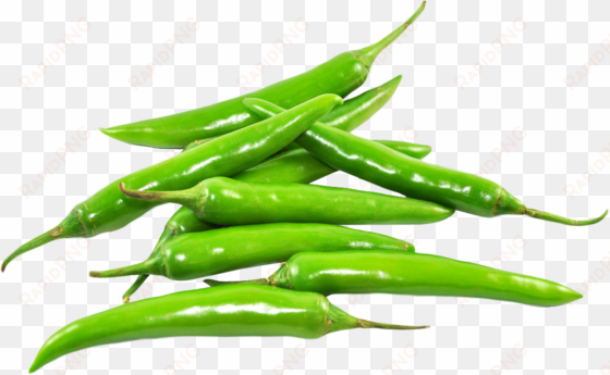 free png fresh chili png images transparent - green chilli