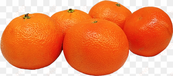 free png fresh tangerines ripe fruits png images transparent - fruits png