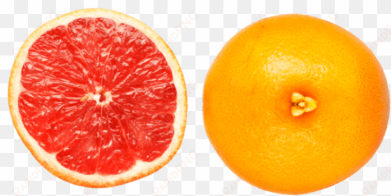 free png grapefruit png images transparent - grapefruit slice png