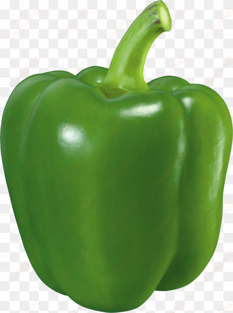 Free Png Green Pepper Png Images Transparent - Green Pepper Png transparent png image
