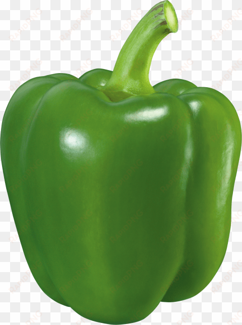 free png green pepper png images transparent - green pepper png