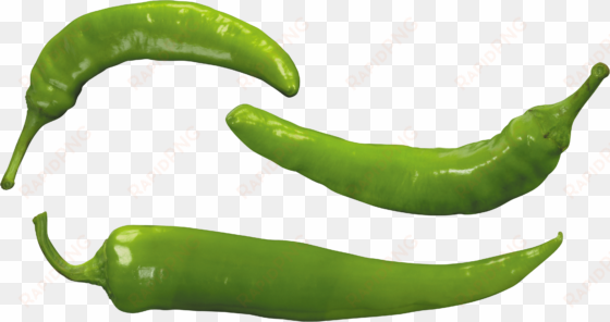 free png green pepper png images transparent - green pepper png