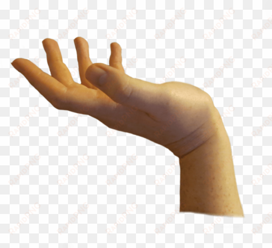 free png hands png images transparent - hand png
