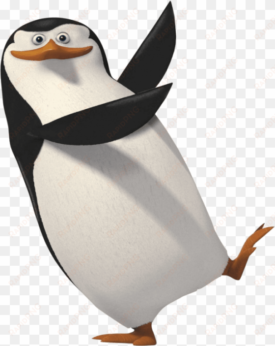 free png madagascar penguin png images transparent - penguin png