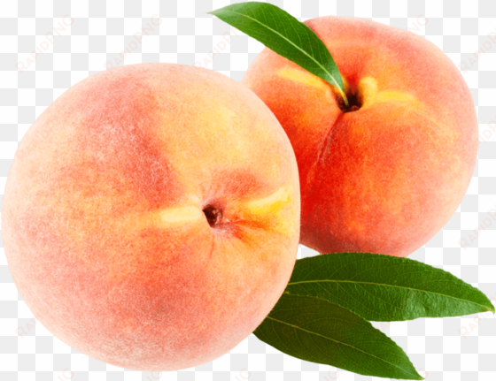 free png peach with leaves png images transparent - transparent background peaches png