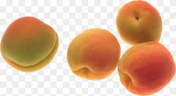 Free Png Peaches Png Images Transparent - Peach transparent png image