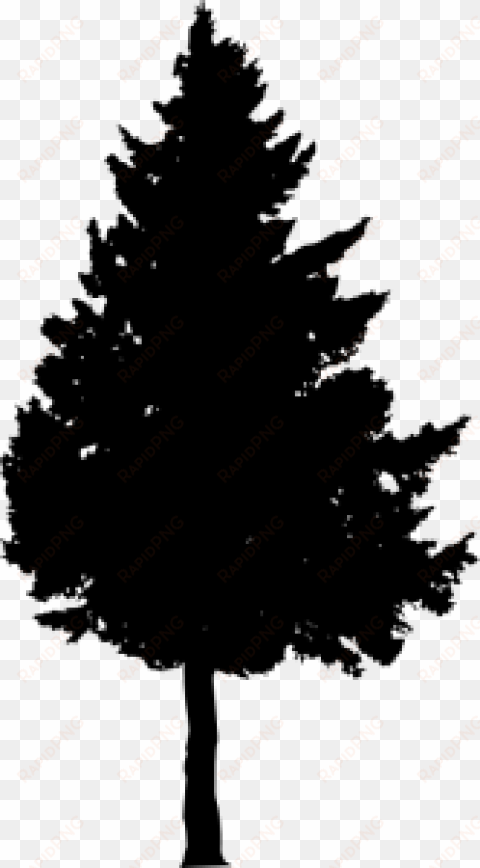 free png pine tree silhouette png images transparent - portable network graphics