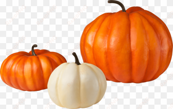 free png pumpkin png images transparent - pumpkin transparent background