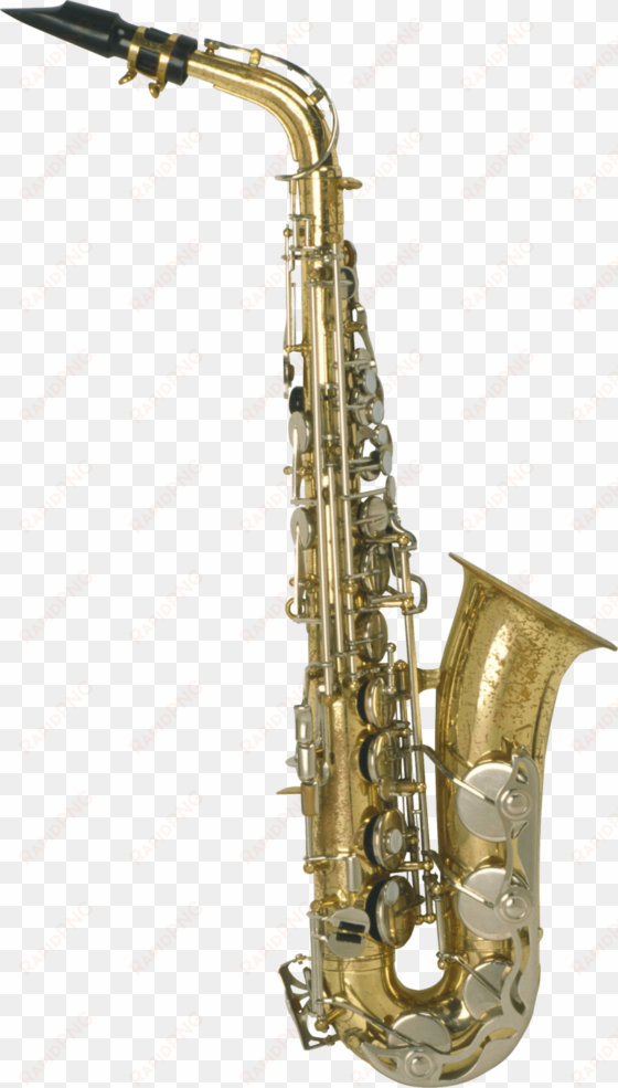 free png saxophone png images transparent - saxophone png