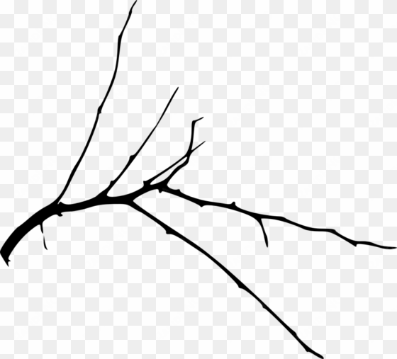 free png simple tree branch png images transparent - portable network graphics
