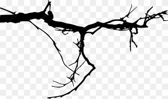 free png simple tree branch png images transparent - tree branches transparent background