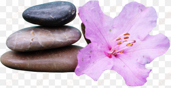 free png spa stone png images transparent - spa stones png