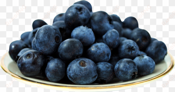 free png table of blueberry png images transparent - blueberries png