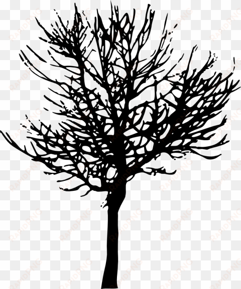 Free Png Tree Silhouette Png Images Transparent - Transparent Background Tree Silhouette Png transparent png image