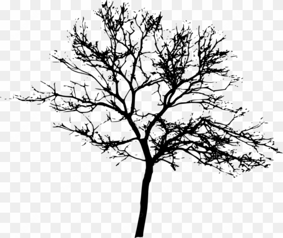 free png tree silhouette png images transparent - tree silhouette transparent background