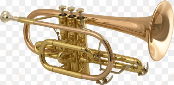 free png trumpet png images transparent - alat musik modern terompet