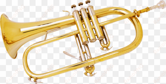 free png trumpet png images transparent - trumpet png