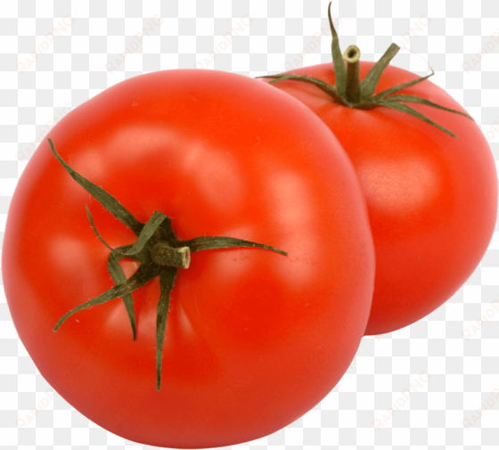 free png two juicy tomato png images transparent - tomato in png