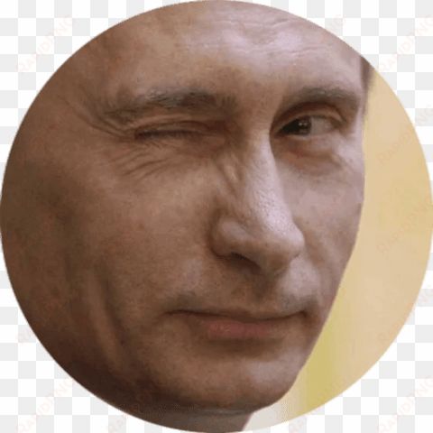 free png vladimir putin png images transparent - vladimir putin head png