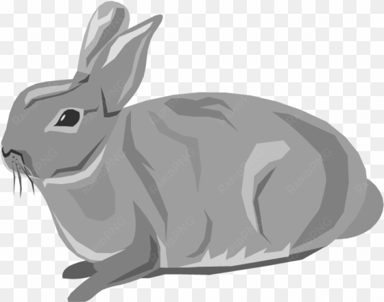 free - rabbit clipart transparent background